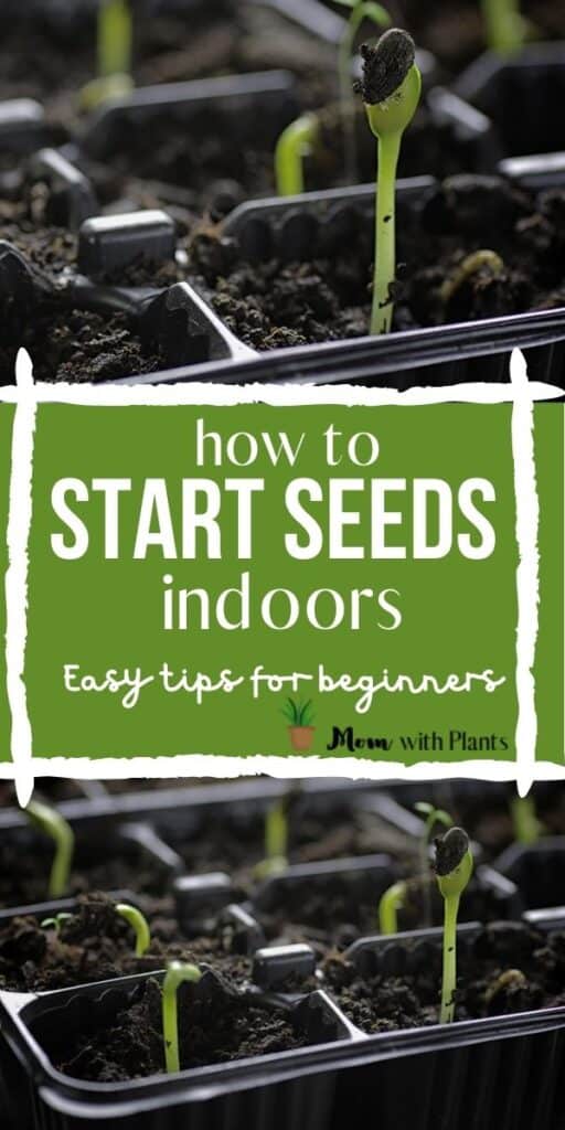 a bunch of seedlings popping up through the soil with text overlay that reads how to start seeds indoors easy tips for beginners