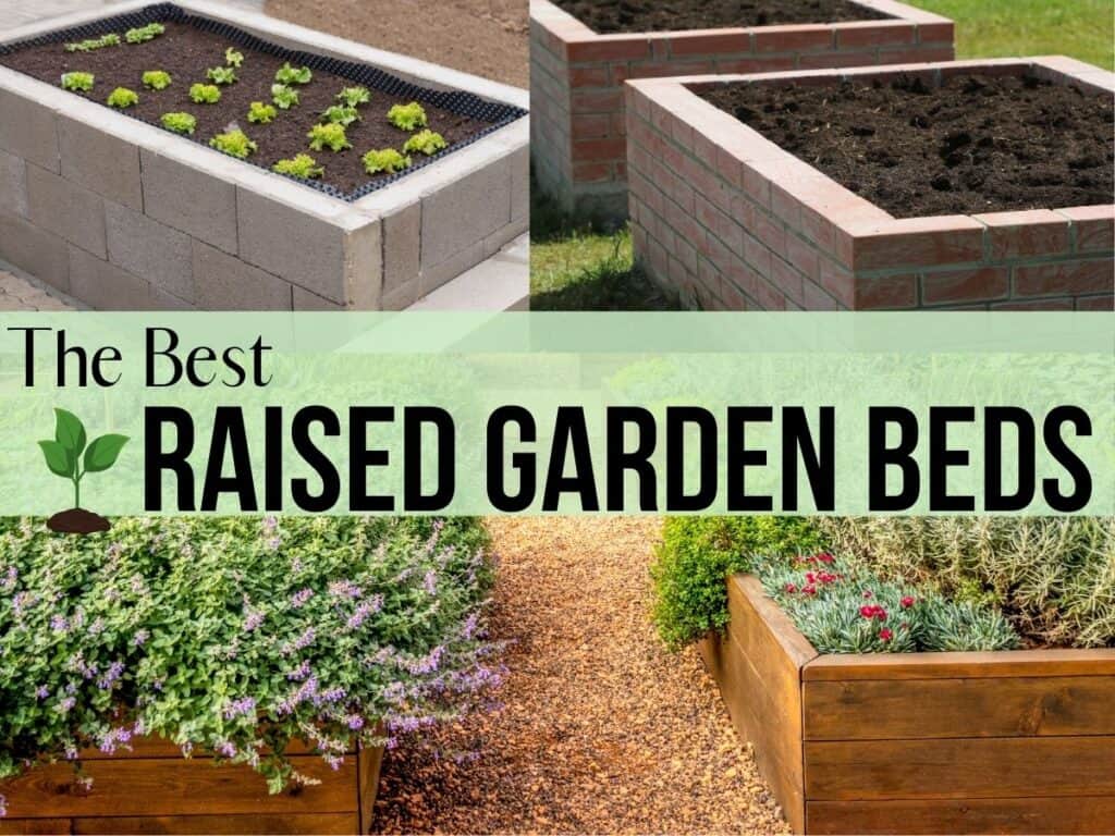 collage of different raised garden beds with text overlay that reads the best raised garden beds