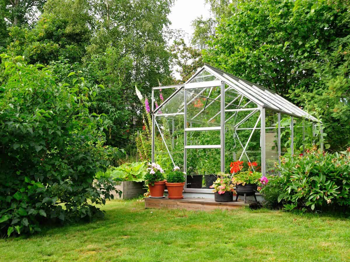 a greenhouse in a backyard