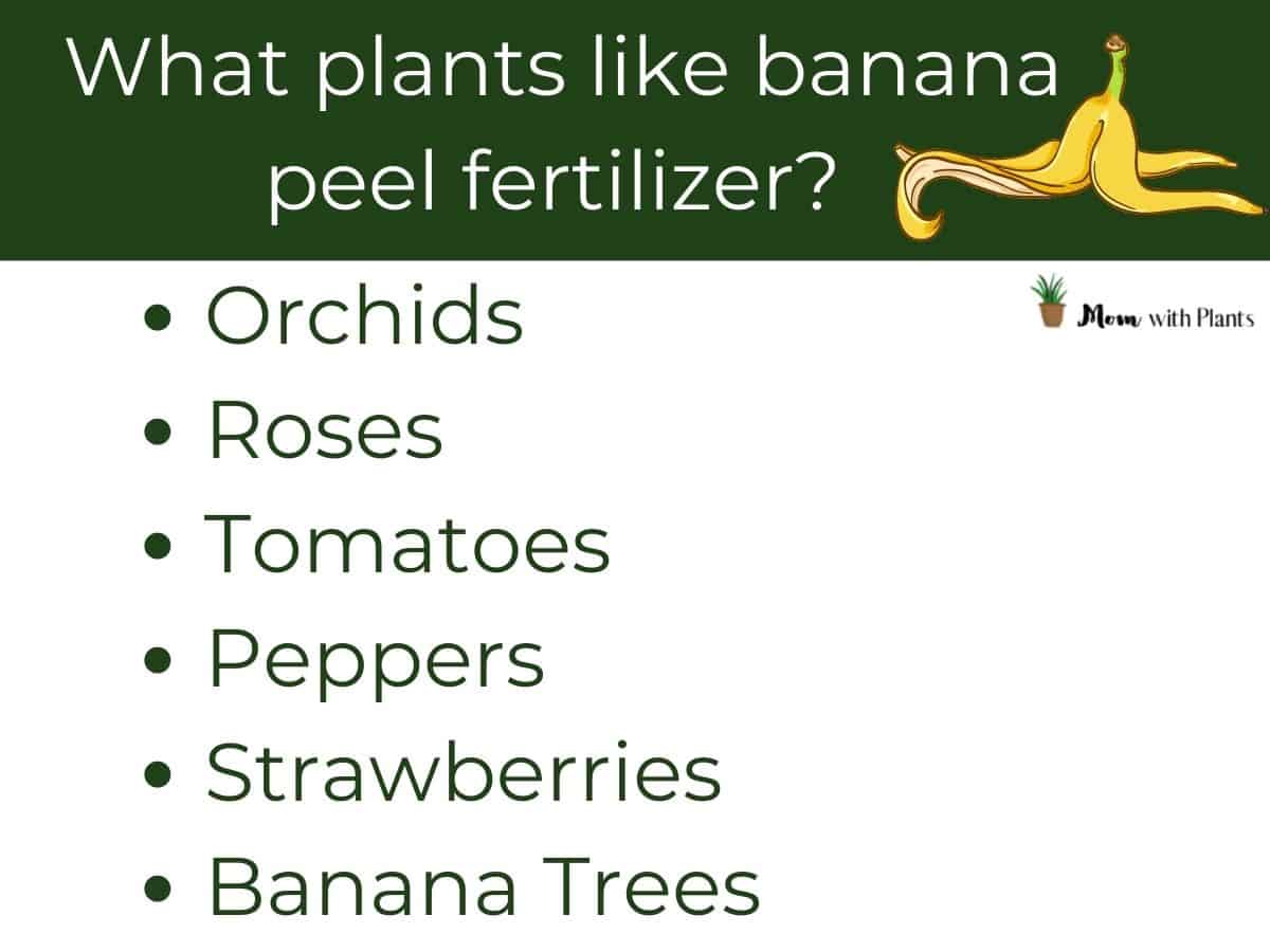 an infographic about what plants like banana peel fertilizer, orchids roses tomatoes peppers strawberries banana trees